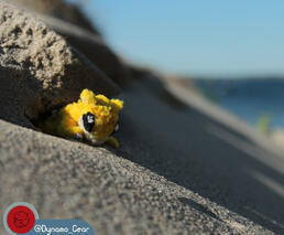 #027- Sandshrew (Taken 2021)