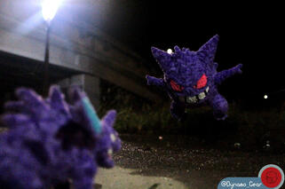 #033- Nidorino (Taken 2018)