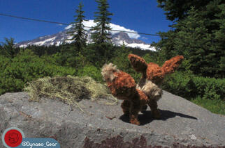 #133- Eevee (Taken 2021)